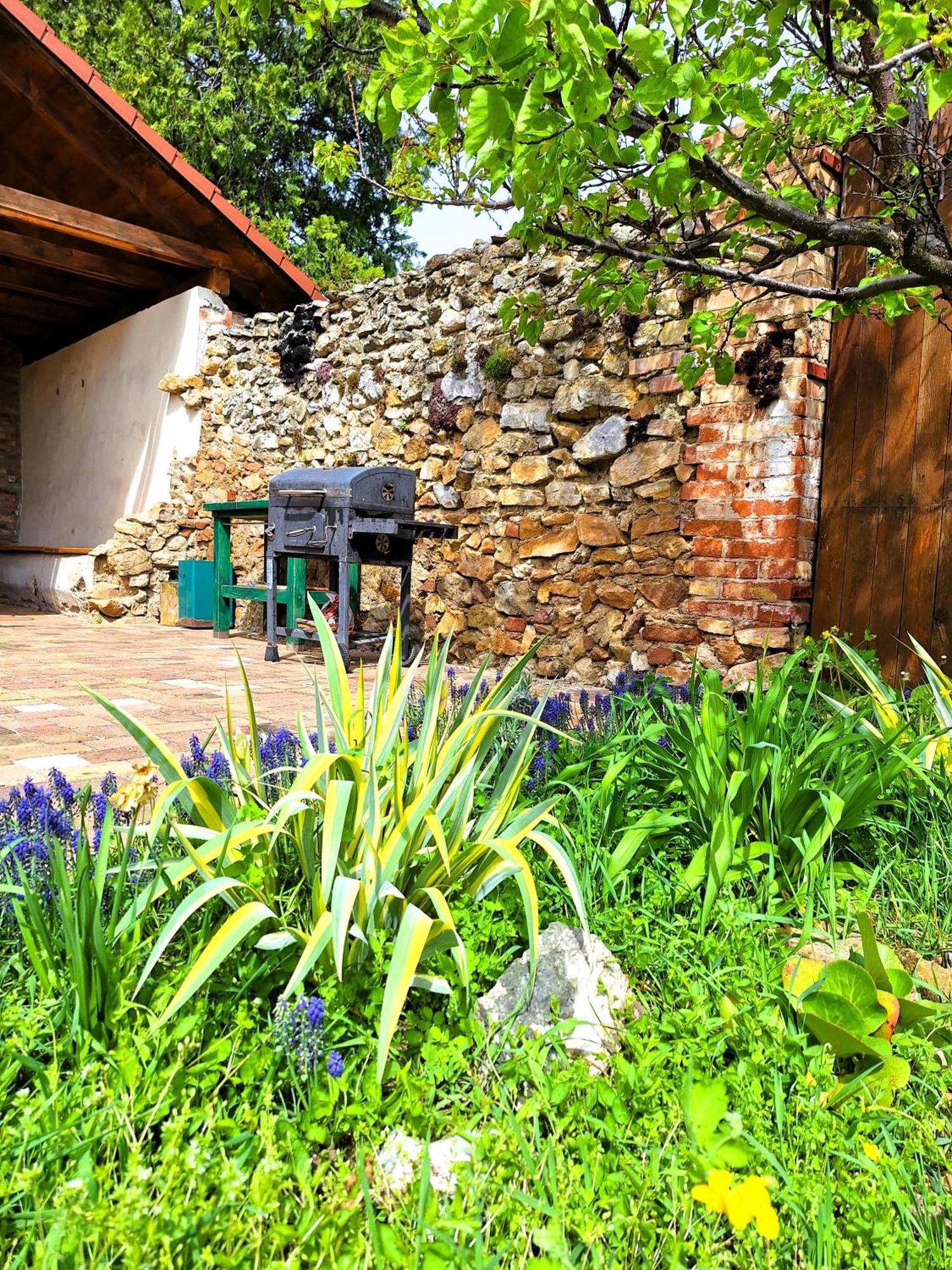 Penzion Villa Agnes Smolenice Extérieur photo